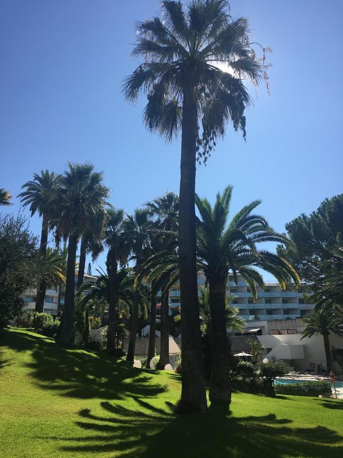 Tres Beau T2 Dans Parc Montfleury ,Proche Centre ,Au Calme 44 Bd Montfleury Apartment Cannes Exterior photo