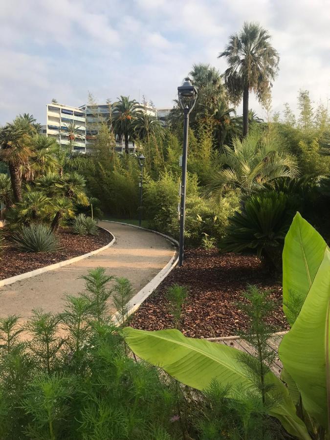 Tres Beau T2 Dans Parc Montfleury ,Proche Centre ,Au Calme 44 Bd Montfleury Apartment Cannes Exterior photo
